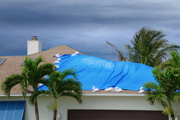 blue tarp on roof surrounded by palm trees