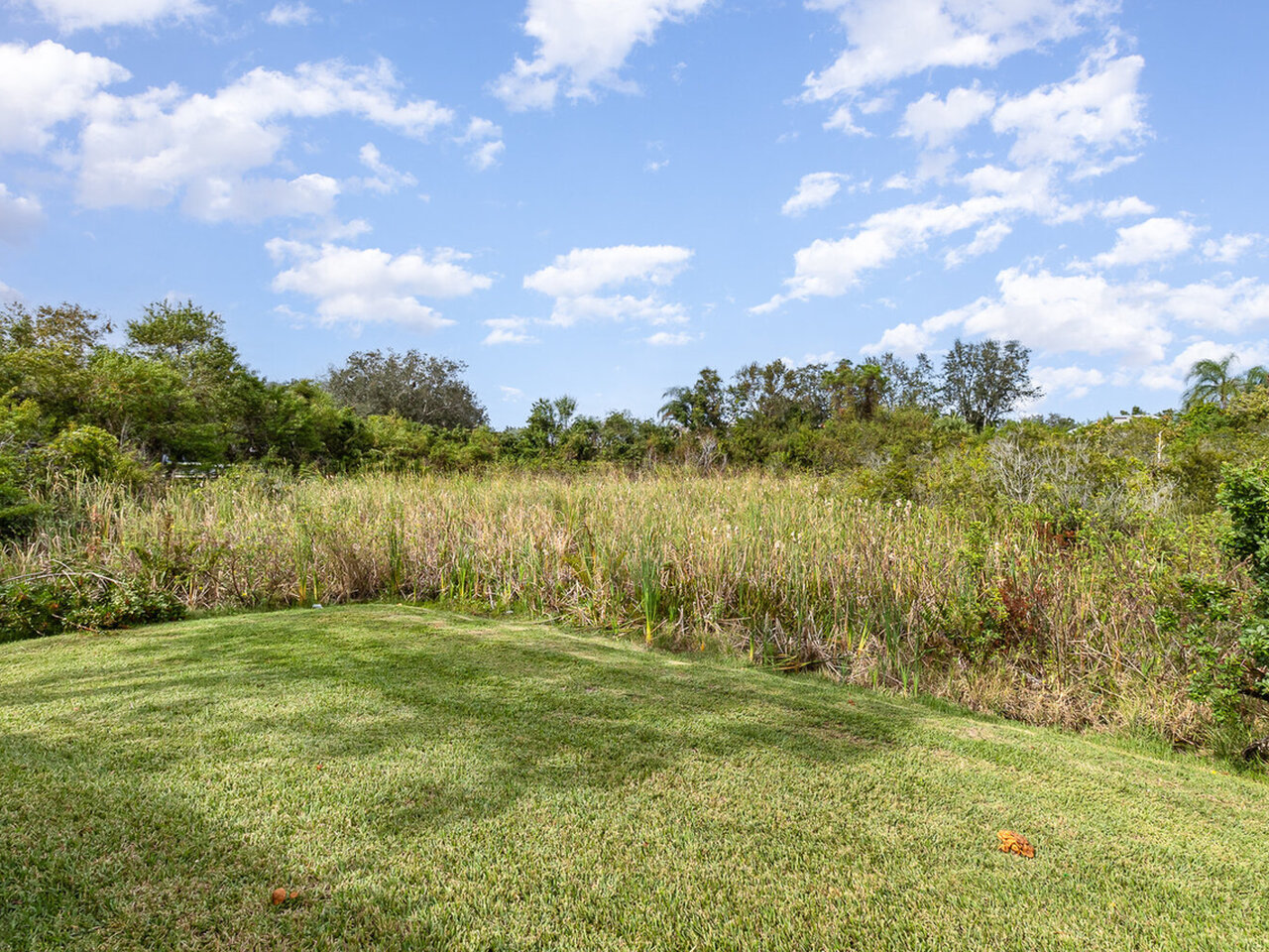 230 Baytree Dr.