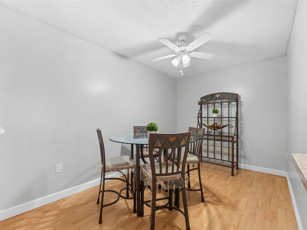 235 Spring Drive #5