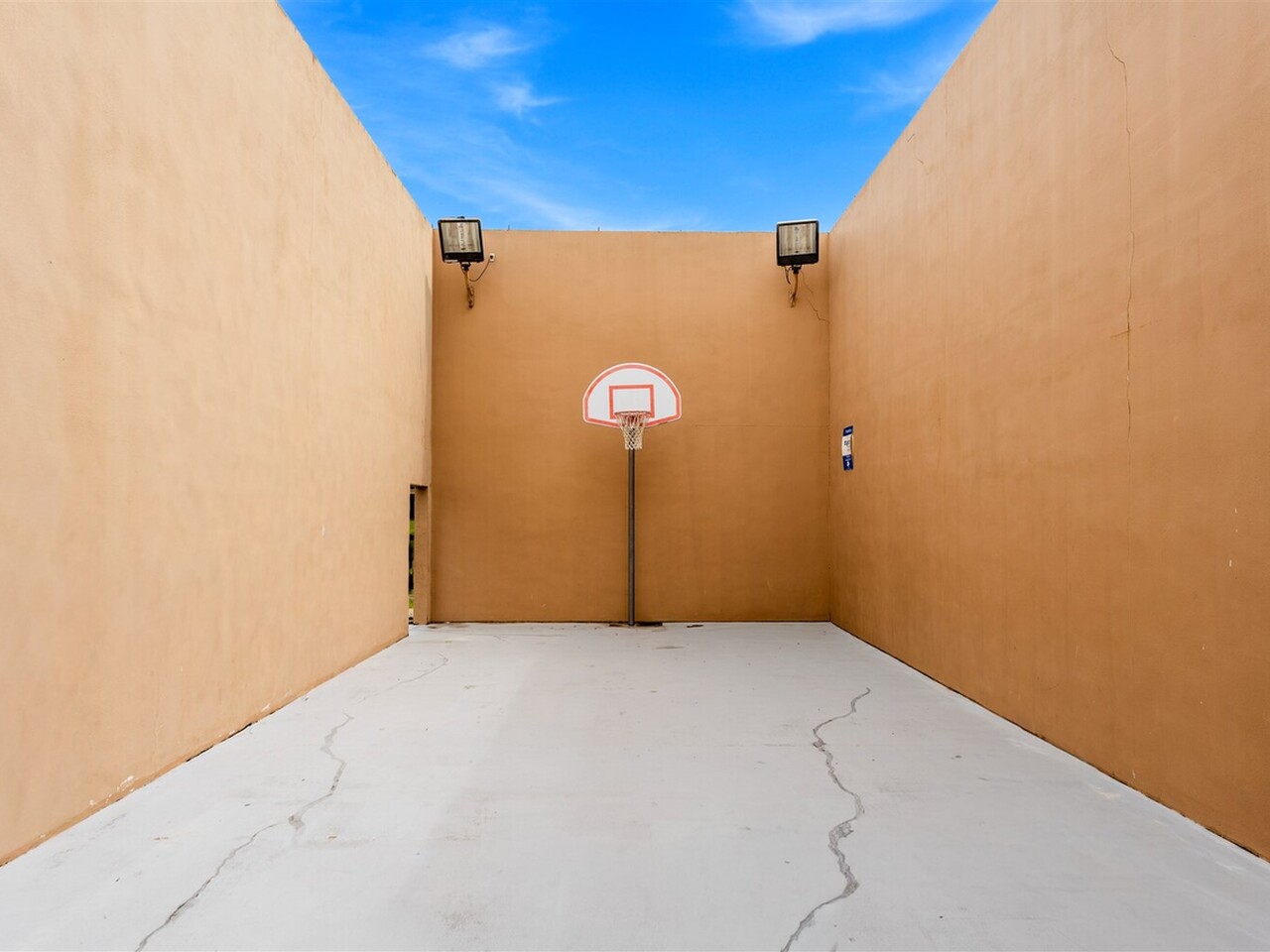 235 Spring Drive #5