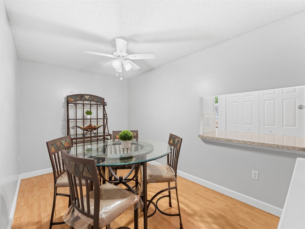 235 Spring Drive #5