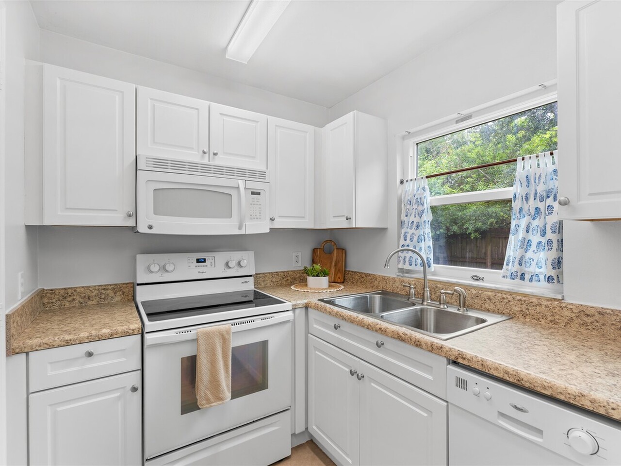235 Spring Drive #5