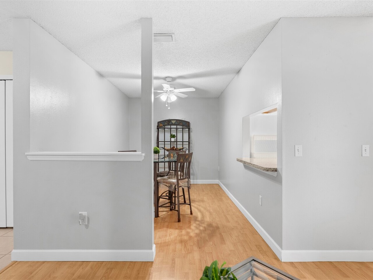 235 Spring Drive #5