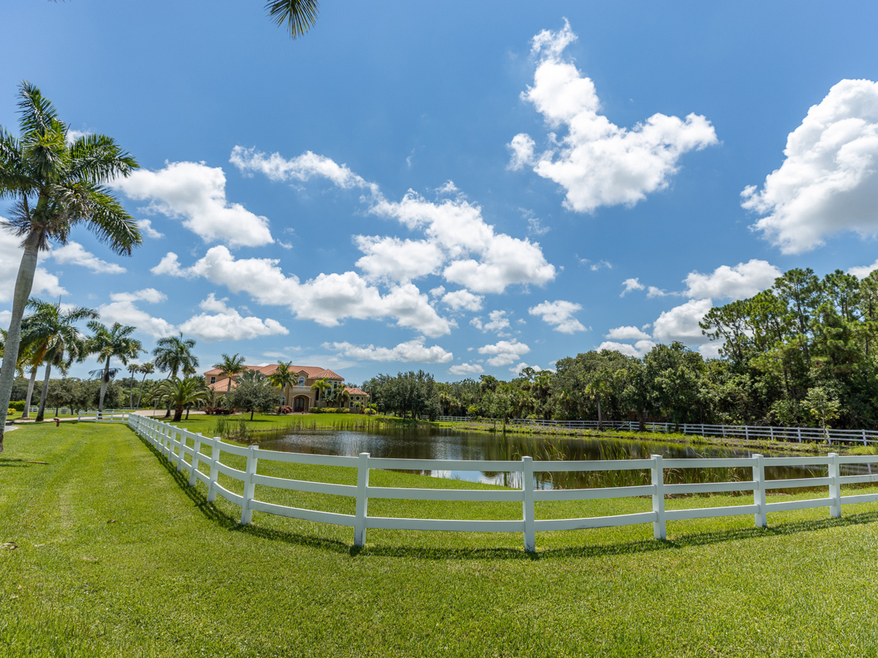 3211 Painted Bunting Court