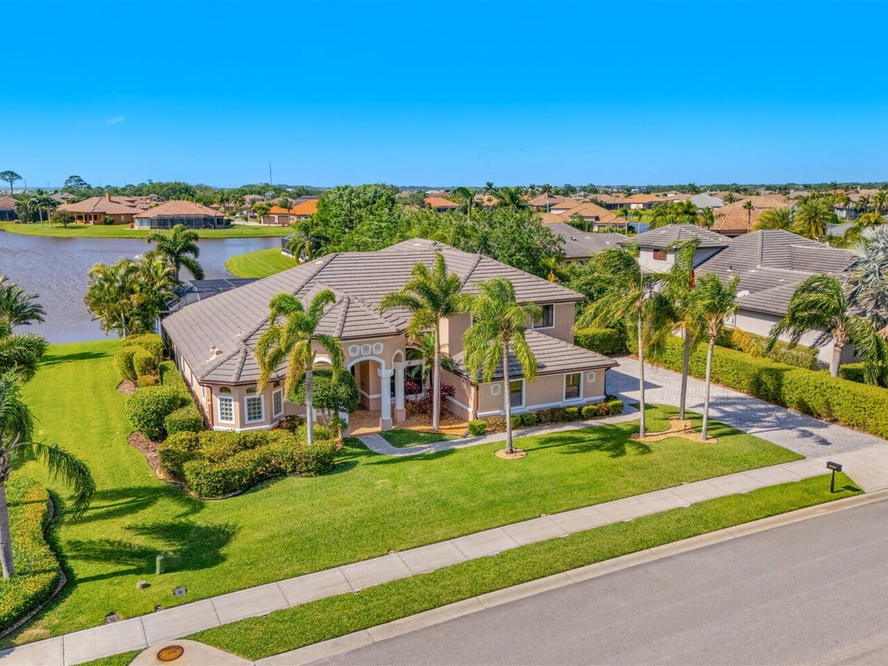 3599 Imperata Drive