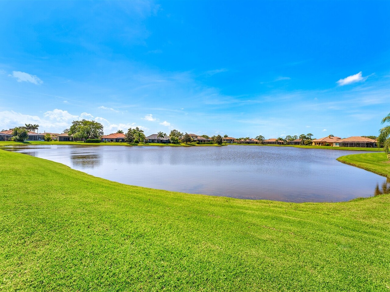 3599 Imperata Drive