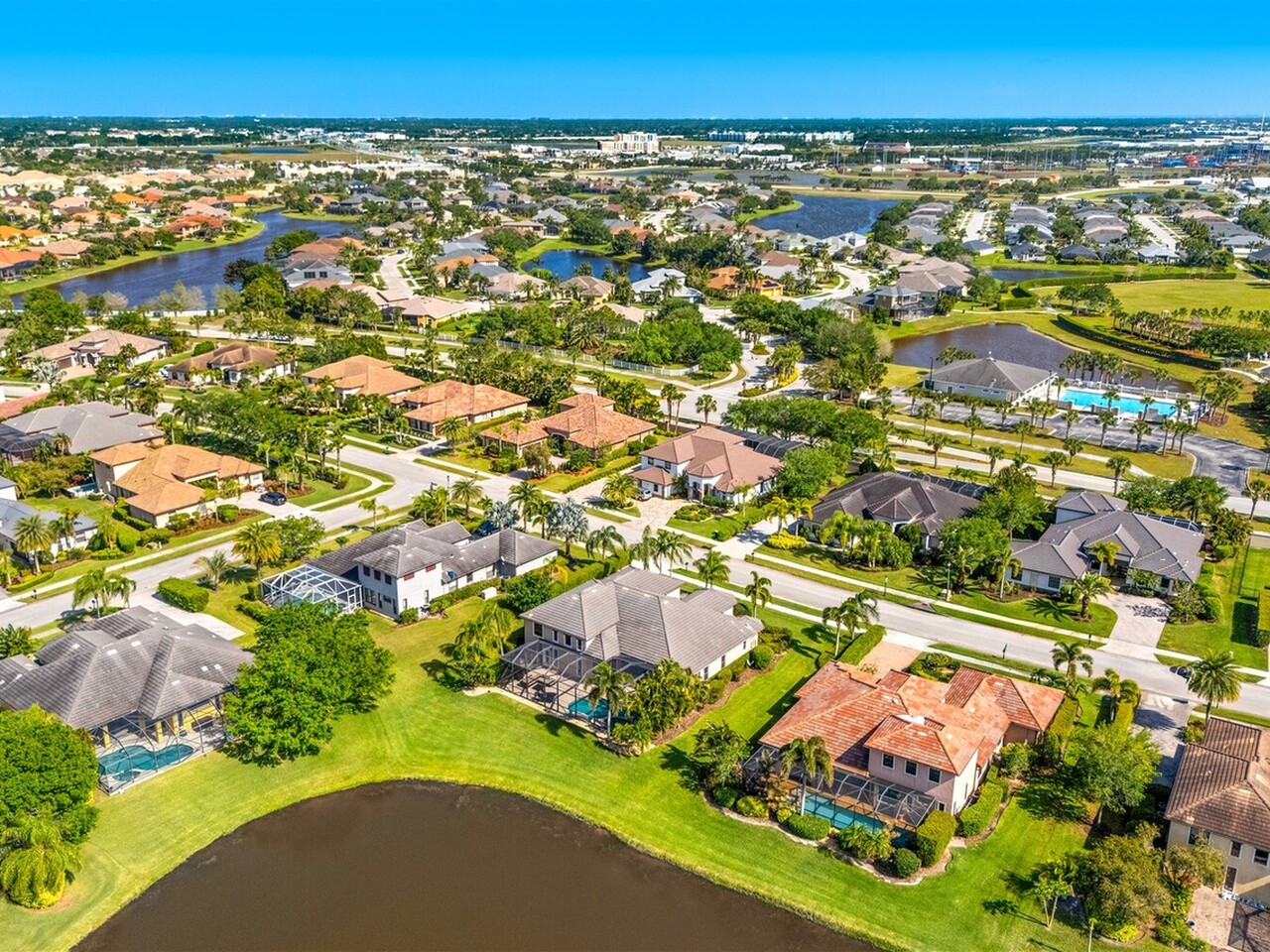 3599 Imperata Drive