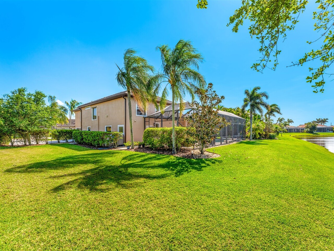 3599 Imperata Drive