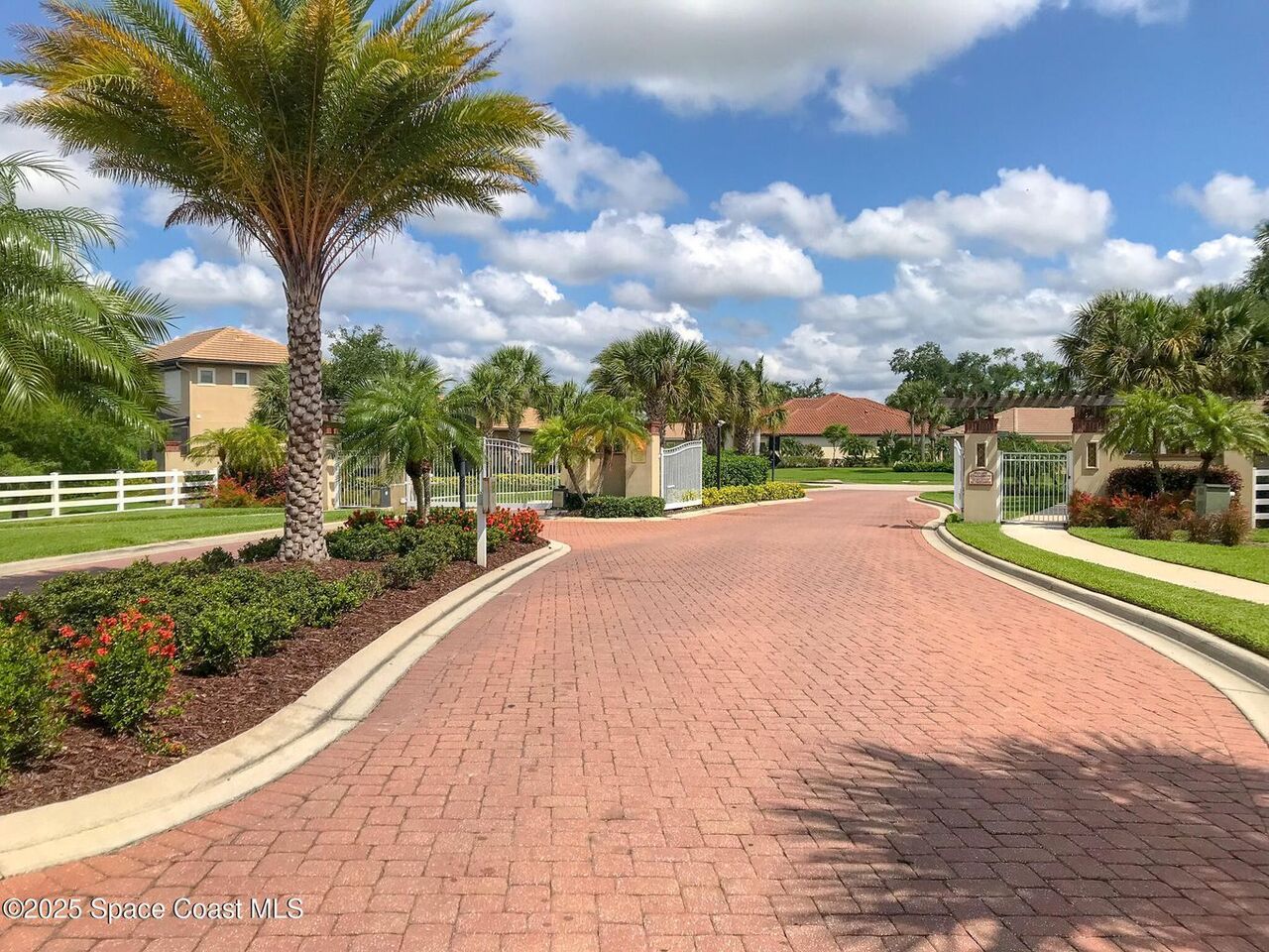 3599 Imperata Drive