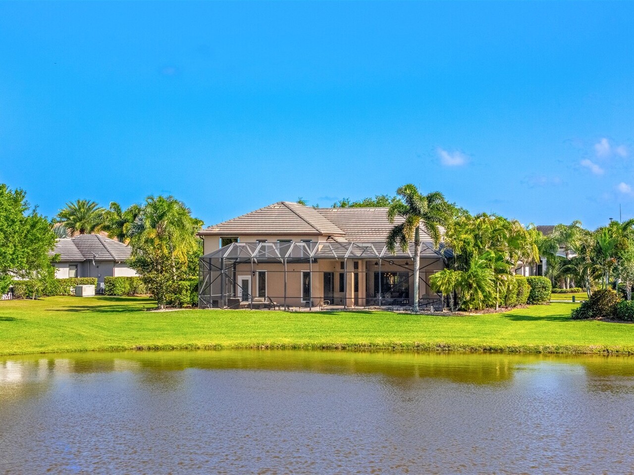 3599 Imperata Drive