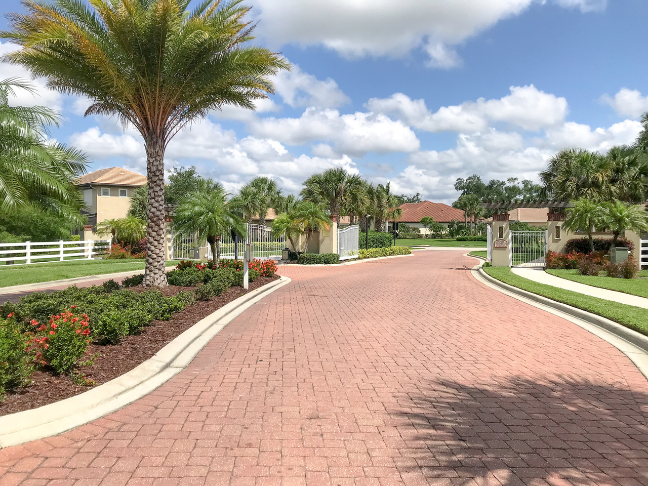 3718 Imperata Drive