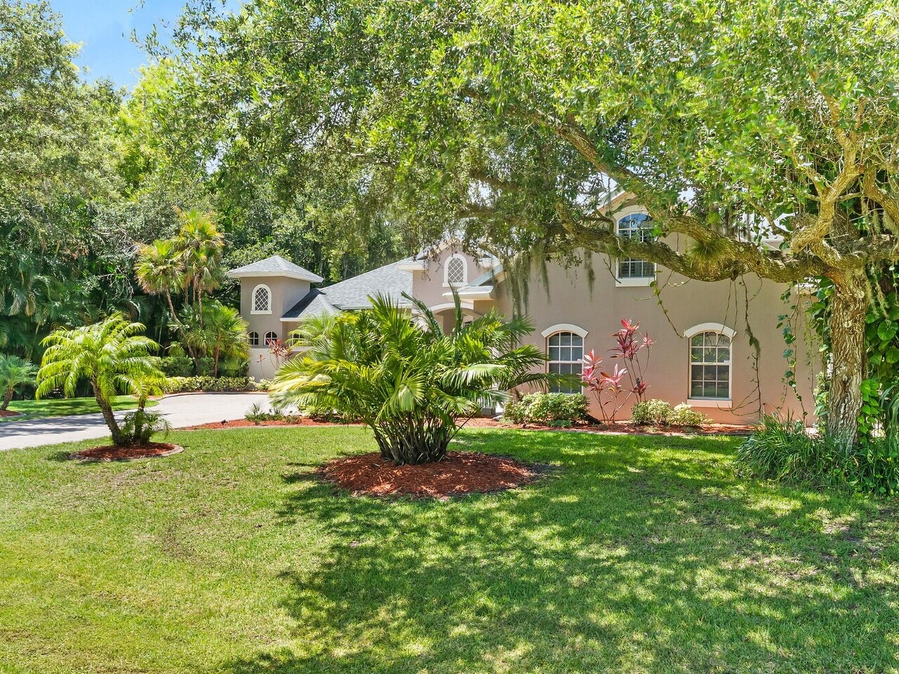 4356 Davidia Drive