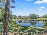 673 Remington Green Drive