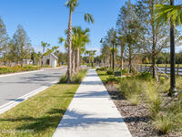 1471 Lavender Drive