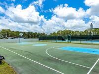 590 Wedge Court