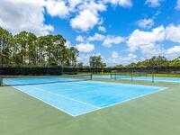 590 Wedge Court