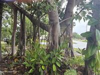 2351 Shenandoah Road