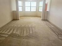 1876 Winding Ridge Circle