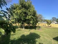 687 Americana Boulevard