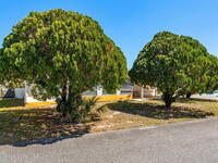 1151 Center Lane