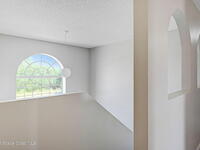 556 Haleybury Street