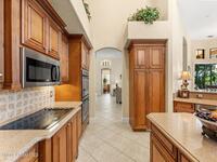 3599 Imperata Drive