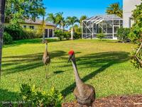 3599 Imperata Drive