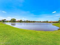 3599 Imperata Drive