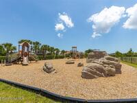 3599 Imperata Drive