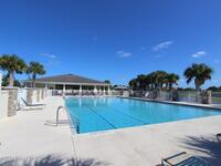 3599 Imperata Drive