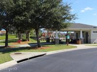3599 Imperata Drive