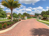 3599 Imperata Drive