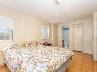 1809 Sago Palm Street