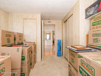 1809 Sago Palm Street