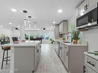 1843 Mango Street