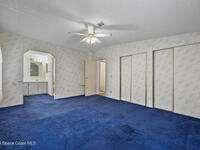 2387 Coconut Palm Drive