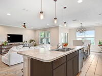 910 Swiss Pointe Lane