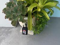 1305 Rabbit Street Unit #Port Malabar Unit 22