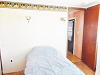 1461 Turkey Creek Drive