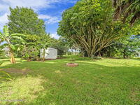 313 Evergreen Street