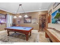 541 Treviso Drive