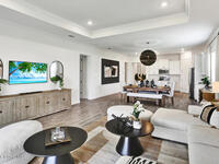 853 Antibes Court