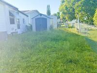 1749 Mango Street