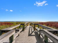 3170 N Atlantic Avenue Unit #202