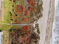 3170 N Atlantic Avenue Unit #202