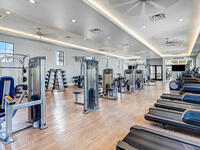 2013 Great Belt Circle