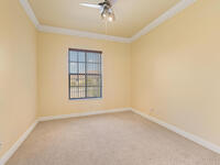 3718 Imperata Drive