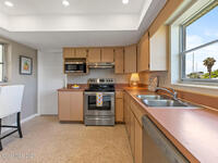 485 Penguin Drive